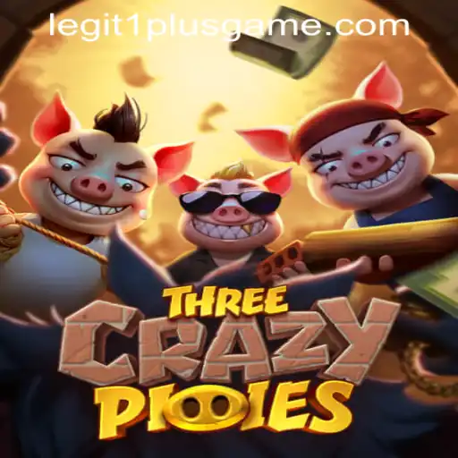 Experience the Magic of 